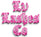 LVLASHESCO logo